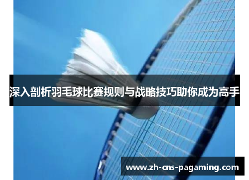 深入剖析羽毛球比赛规则与战略技巧助你成为高手