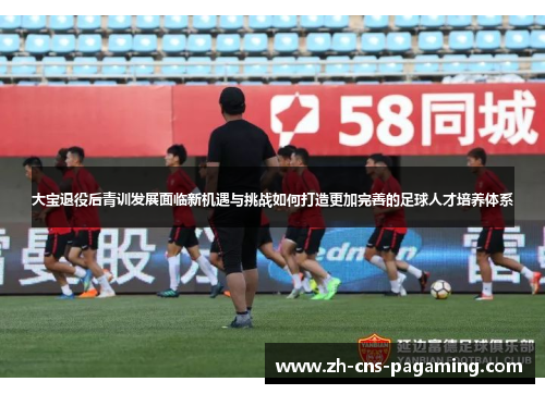 大宝退役后青训发展面临新机遇与挑战如何打造更加完善的足球人才培养体系