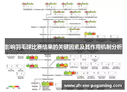 影响羽毛球比赛结果的关键因素及其作用机制分析