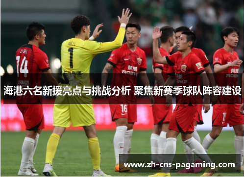 海港六名新援亮点与挑战分析 聚焦新赛季球队阵容建设