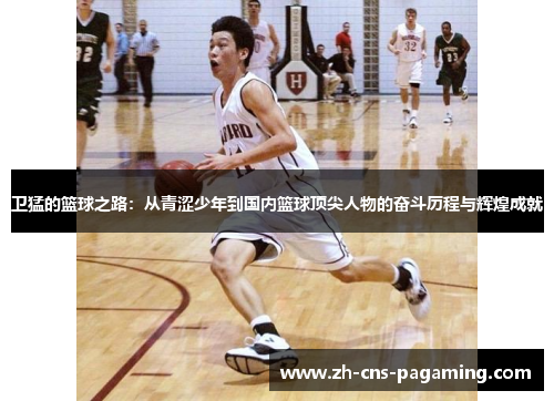 卫猛的篮球之路：从青涩少年到国内篮球顶尖人物的奋斗历程与辉煌成就