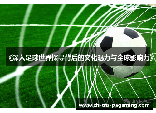 《深入足球世界探寻背后的文化魅力与全球影响力》