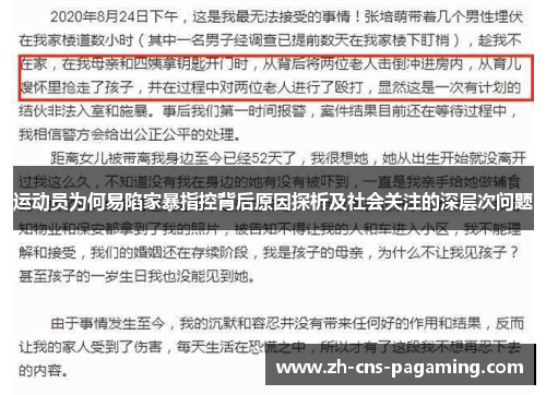 运动员为何易陷家暴指控背后原因探析及社会关注的深层次问题