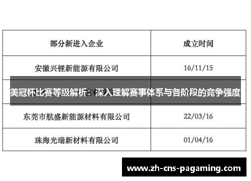 美冠杯比赛等级解析：深入理解赛事体系与各阶段的竞争强度