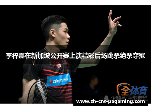 李梓嘉在新加坡公开赛上演精彩后场跳杀绝杀夺冠 李梓嘉在新加坡公开赛上演精彩后场跳杀绝杀夺冠